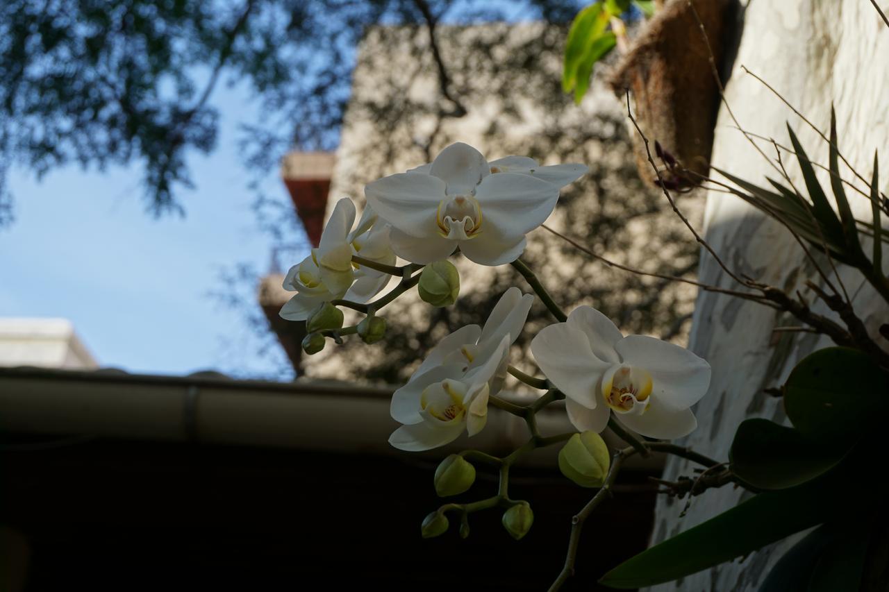 Pouso Da Garca Cabo Frio Exterior foto